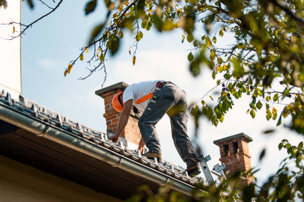 Best New Roof Installation  in Benson, NC
